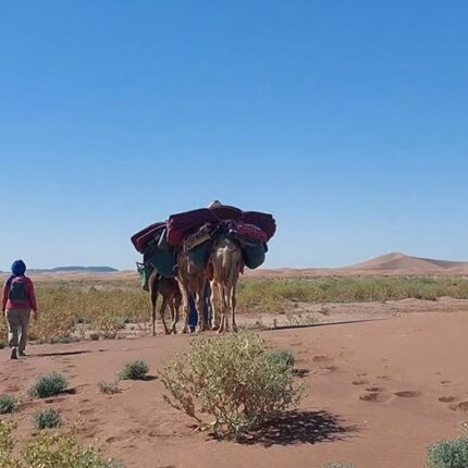 4 Days Desert Tour from Agadir to Erg Chegaga